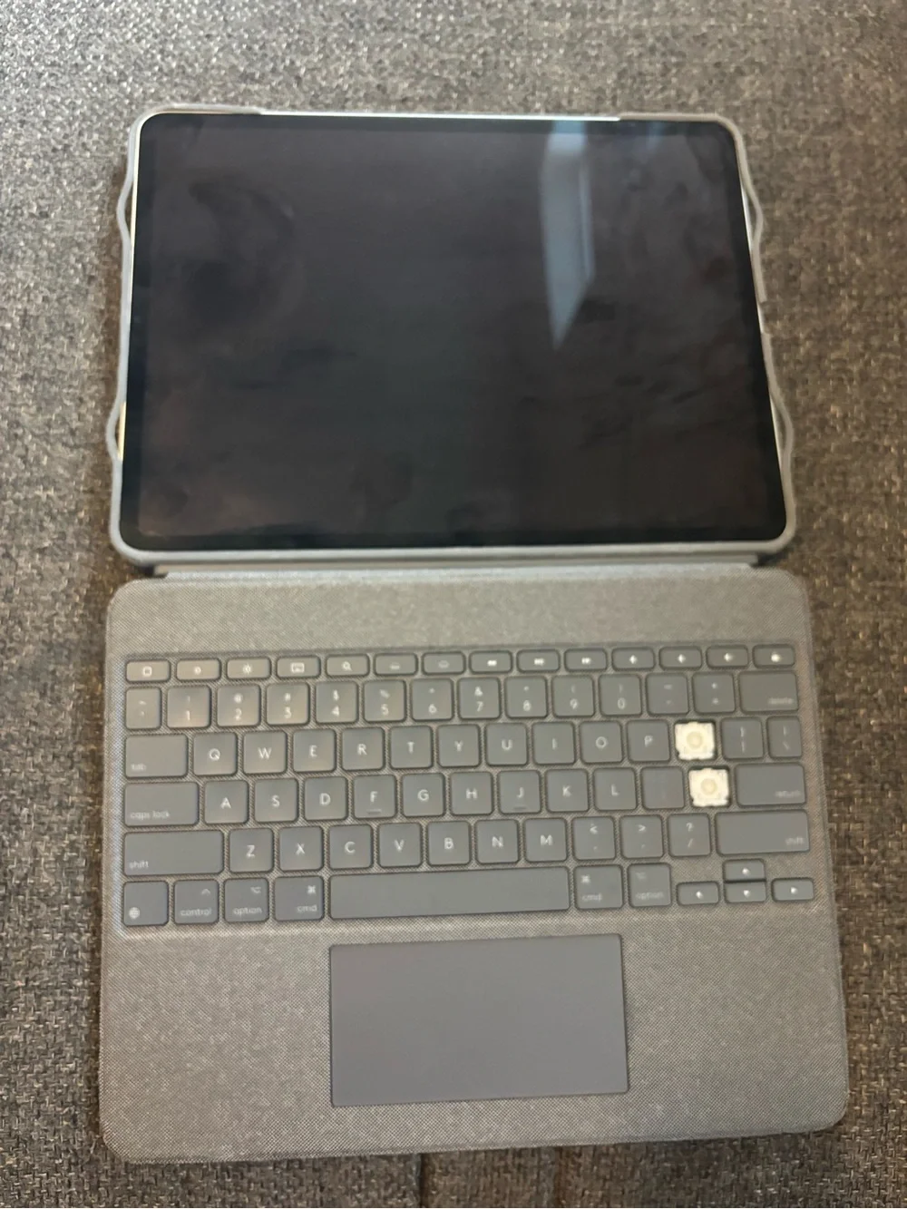 Apple Silver iPad Pro - Space Gray Apple Logo